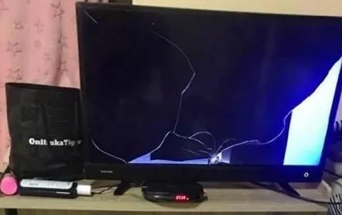 猫咪不慎打翻电视机，无辜看着主人，猫咪：怪它位置没摆正！ 