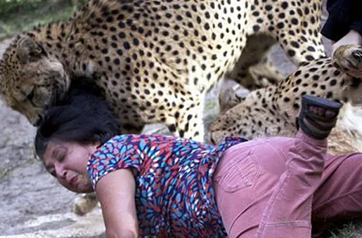 女子与豹子靠一起合影，本以为很安全，几秒后却笑不出来了
