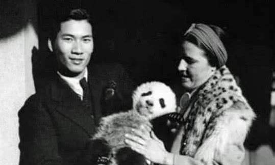 世界首个“熊猫大盗”：她从中国偷走两只熊猫后