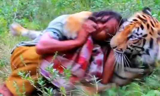 女子放生老虎，5年后人虎在野外偶然相遇，老虎直接咬住她的头