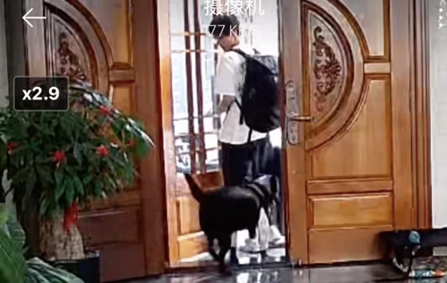 男生开学要走了，狗狗站在门口望着